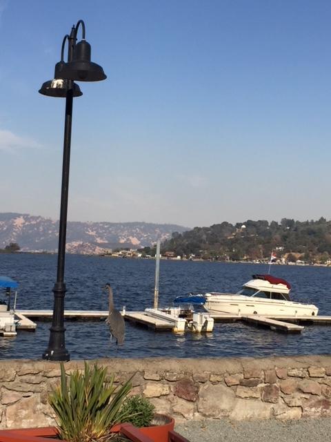 Clear Lake Vista Resort Kelseyville Екстер'єр фото